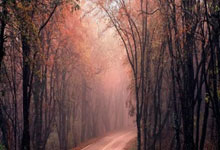 中国女子冰壶队,米兰冬奥会见!3-23 12:22.