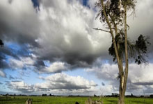 记者:莱比锡有意让格拉斯纳执教 据悉有关于后者的离队选项.