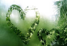 中国女子冰壶队,米兰冬奥会见!3-23 12:22.