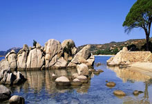 记者:莱比锡有意让格拉斯纳执教 据悉有关于后者的离队选项.